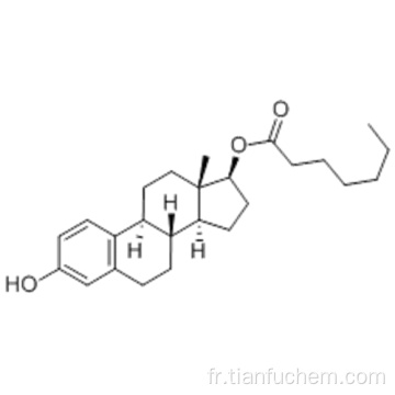 17-heptanoate d&#39;œstradiol CAS 4956-37-0